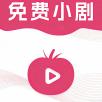 晴天火龙果TV2023最新版 晴天火龙果TV2023最新版